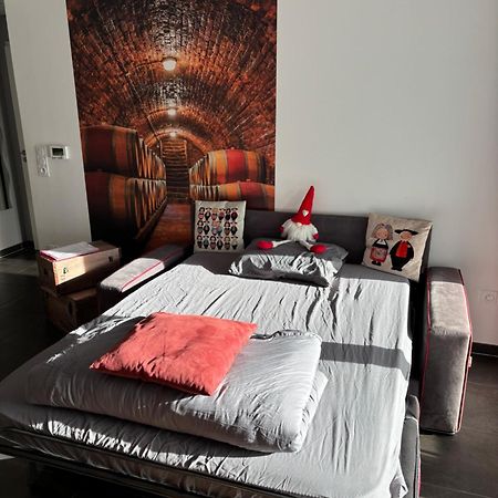 Le Riesling Colmar Centre Charmant Appartement Avec Terrasse Et Parking Gratuit Экстерьер фото